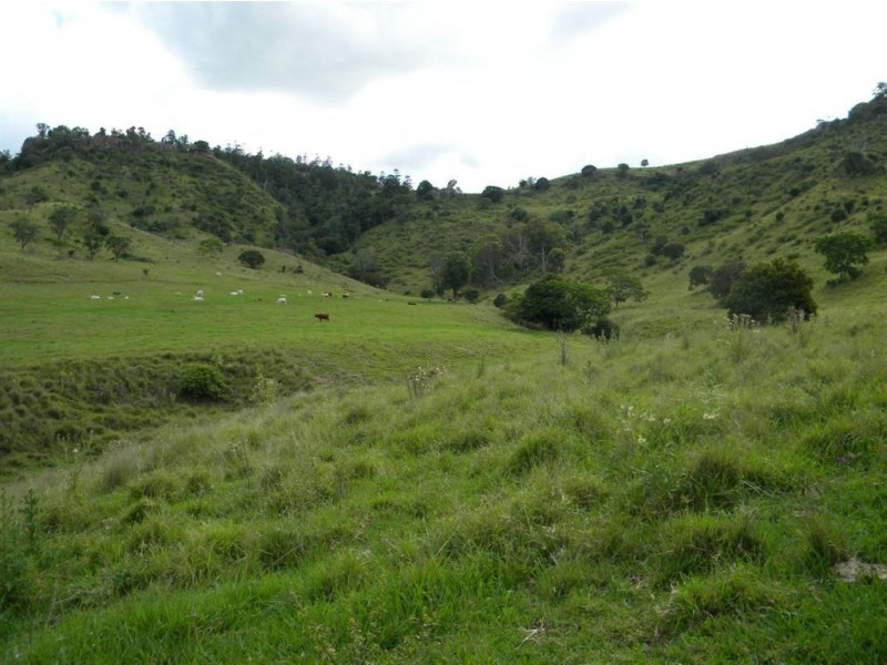 Christmas Creek QLD 4285