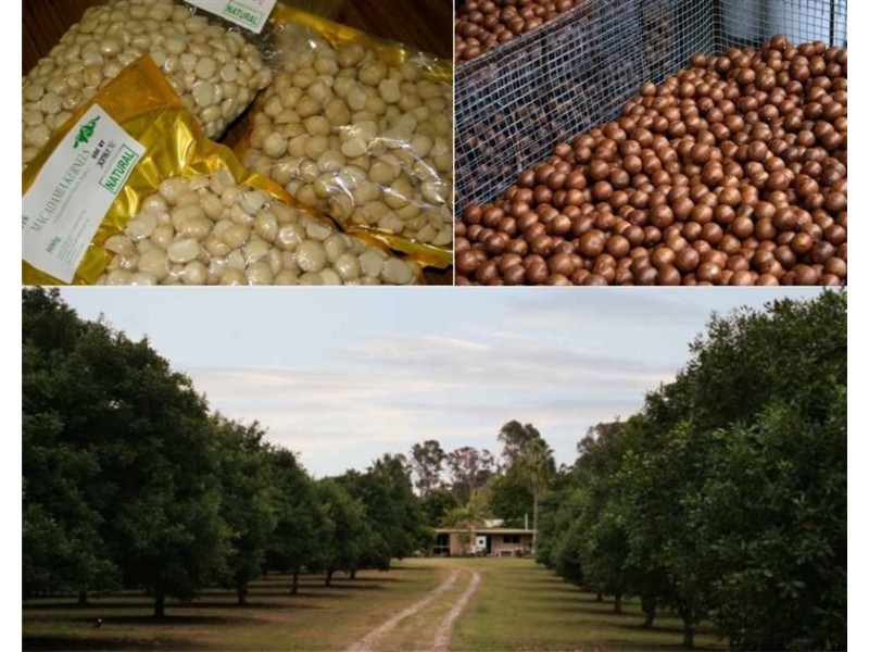 Beaudesert QLD 4285