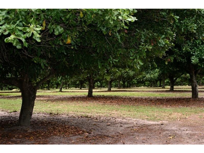 Beaudesert QLD 4285