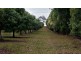 Beaudesert QLD 4285