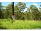 211 Harrison Road, Cedar Vale QLD 4285