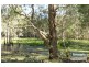 Greenbank QLD 4124