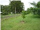 Cedar Grove QLD 4285