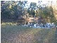 Jimboomba QLD 4280
