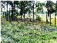 Cedar Vale QLD 4285