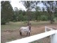 Cedar Vale QLD 4285