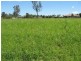 Stockleigh QLD 4280
