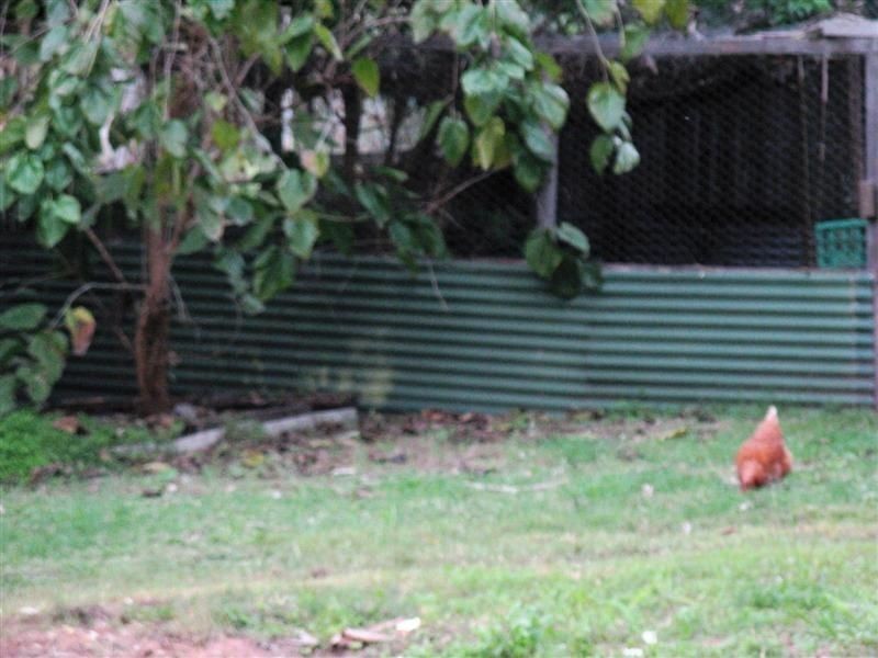 South Maclean QLD 4280