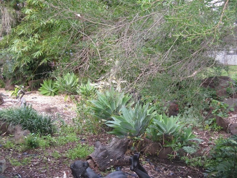 South Maclean QLD 4280