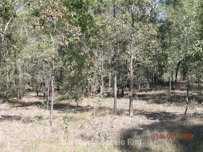 South Maclean QLD 4280