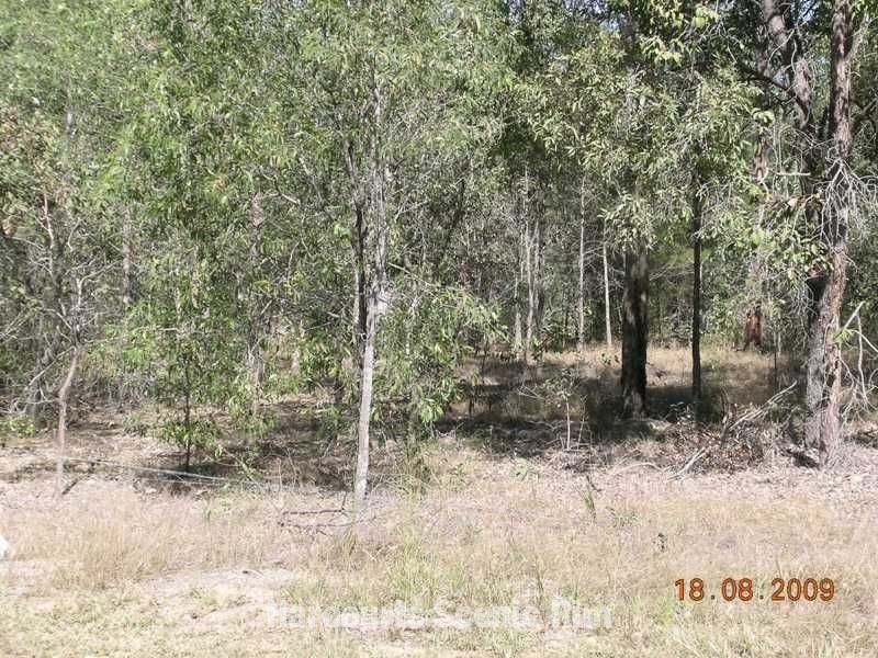 South Maclean QLD 4280