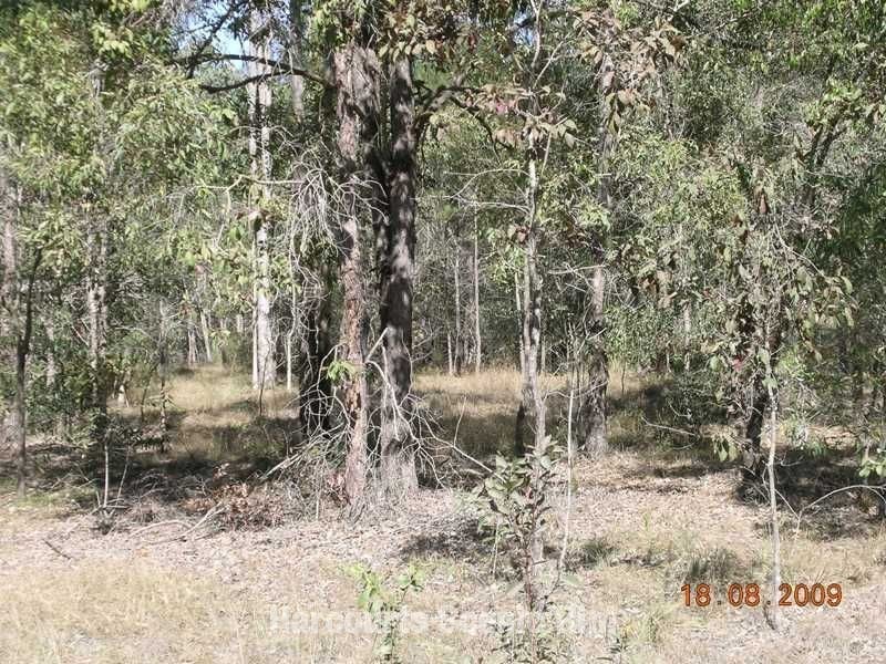 South Maclean QLD 4280