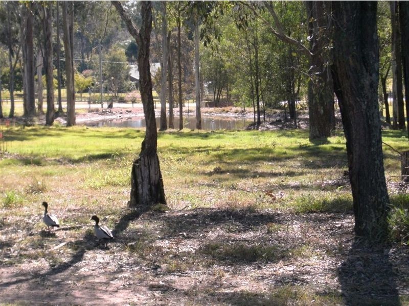 244 Henderson Road, Jimboomba QLD 4280