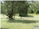 Cedar Grove QLD 4285