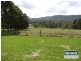 Wonglepong QLD 4275