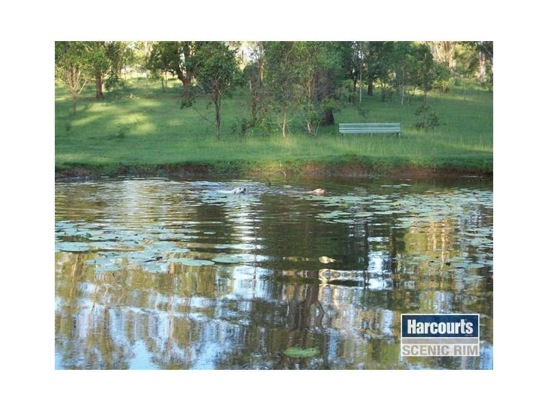 36-40 Boondarn Ct, Cedar Grove QLD 4285