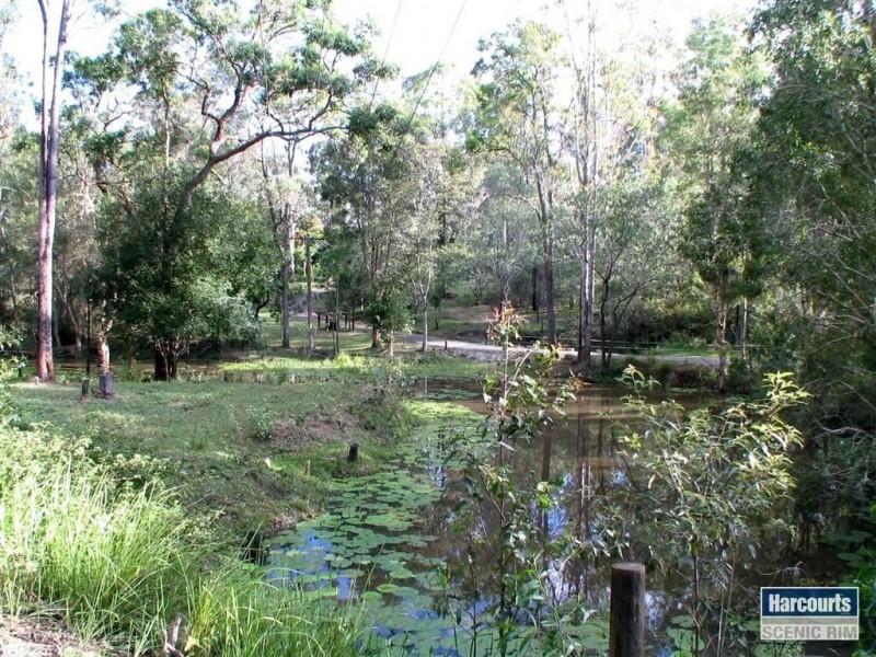 209 Davidson Road, Jimboomba QLD 4280