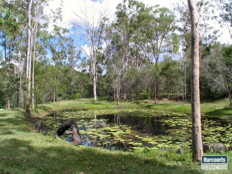 209 Davidson Road, Jimboomba QLD 4280