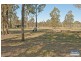19 Glenlogan Ct, Jimboomba QLD 4280