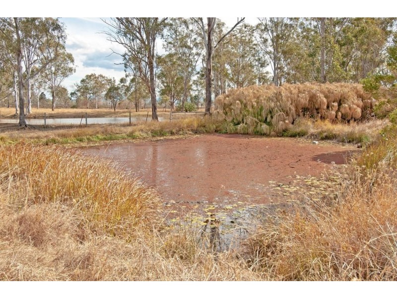 288 Deltoro Road, Cedar Grove QLD 4285