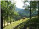 Rathdowney QLD 4287