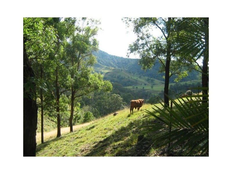 Rathdowney QLD 4287
