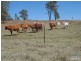 539 Oaky Creek Road, Oaky Creek QLD 4285