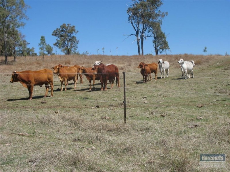 539 Oaky Creek Road, Oaky Creek QLD 4285