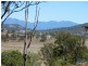539 Oaky Creek Road, Oaky Creek QLD 4285