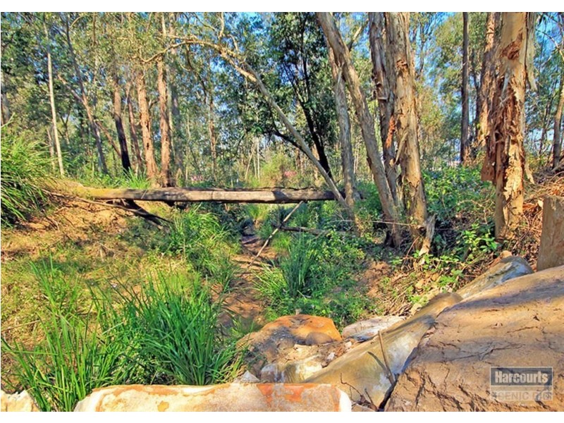 23 Pardalote Court, Greenbank QLD 4124