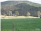 10820 Mt Lindesay Hwy, Palen Creek QLD 4287