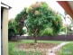 12 Straight Drive, Browns Plains QLD 4118