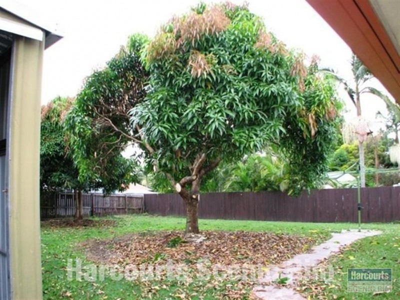 12 Straight Drive, Browns Plains QLD 4118