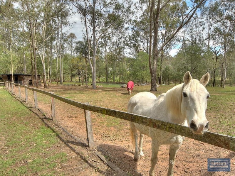 South Maclean QLD 4280