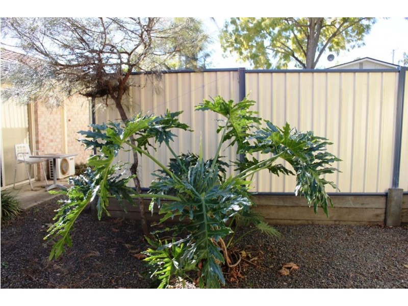 2/32 Albert st, Beaudesert QLD 4285