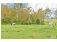 185 Candlebark Road, Jimboomba QLD 4280