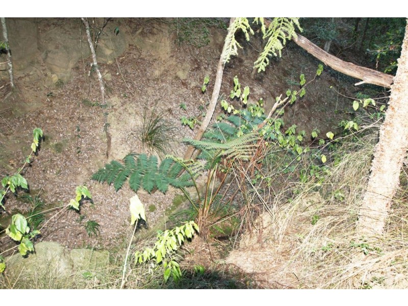 4 Trewin Rd, Cedar Vale QLD 4285