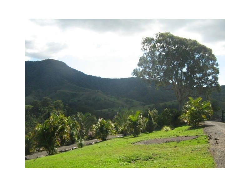 2310 Running Creek Road, Running Creek QLD 4287