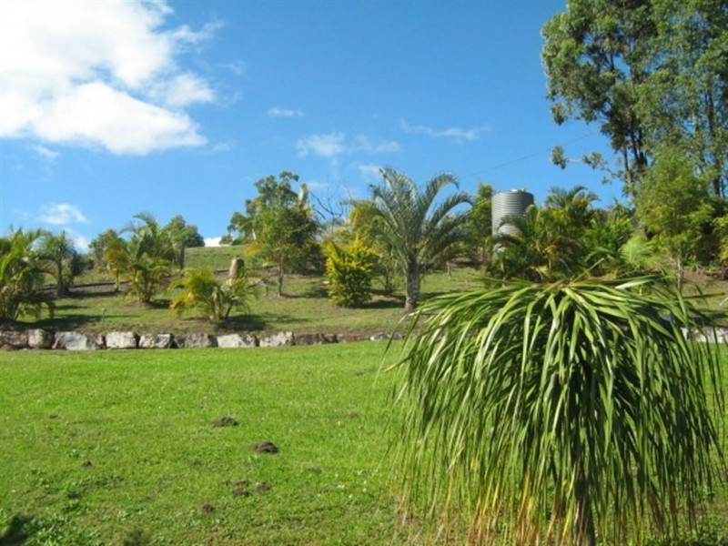 2310 Running Creek Road, Running Creek QLD 4287
