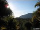2310 Running Creek Road, Running Creek QLD 4287