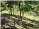 2310 Running Creek Road, Running Creek QLD 4287