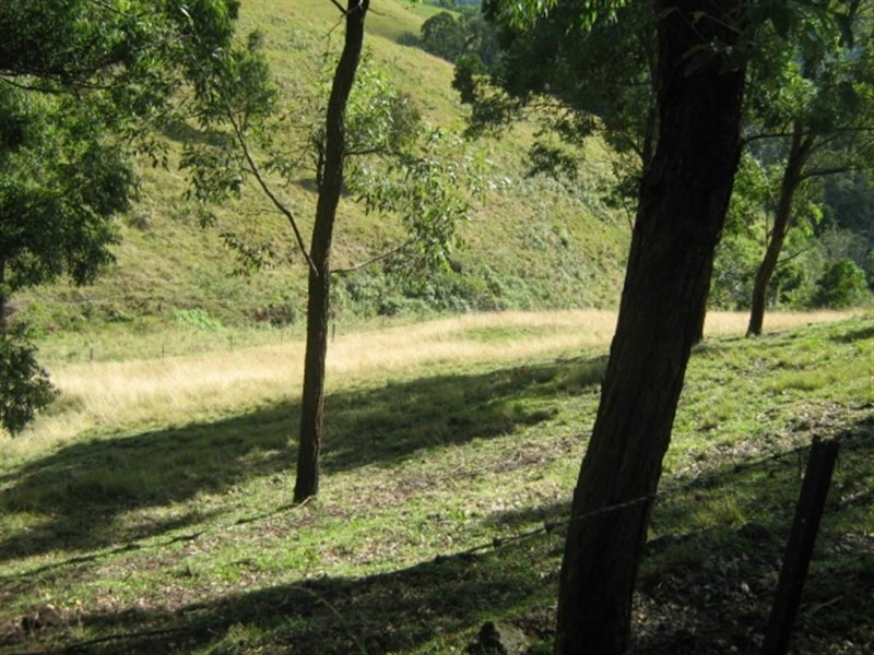 2310 Running Creek Road, Running Creek QLD 4287