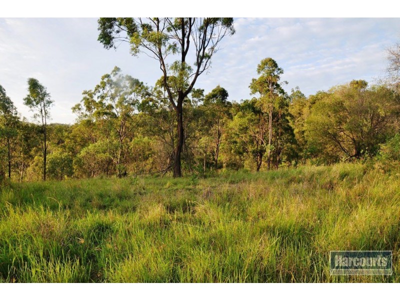 25 White Place, Kooralbyn QLD 4285