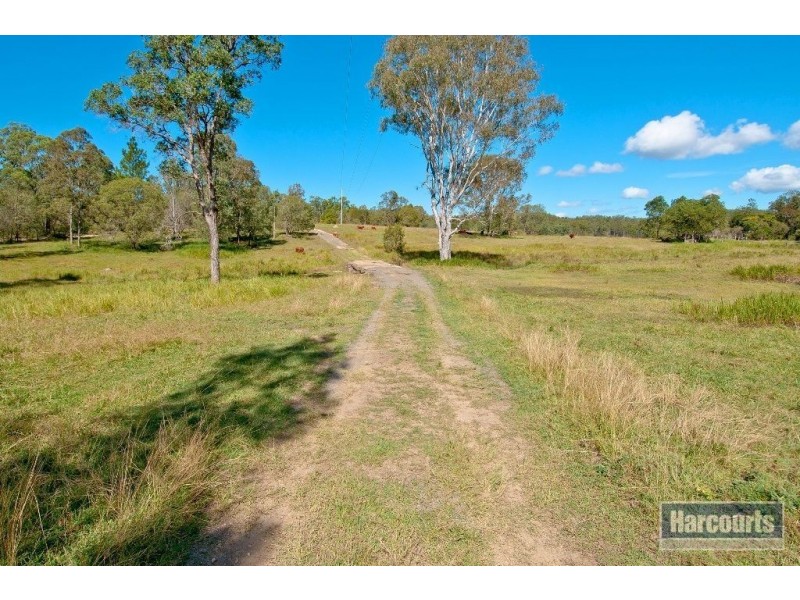 49 Tully Road, Greenbank QLD 4124