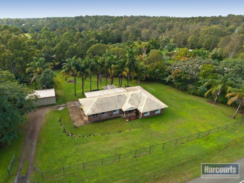 273 Cedar Grove Road, Cedar Grove QLD 4285