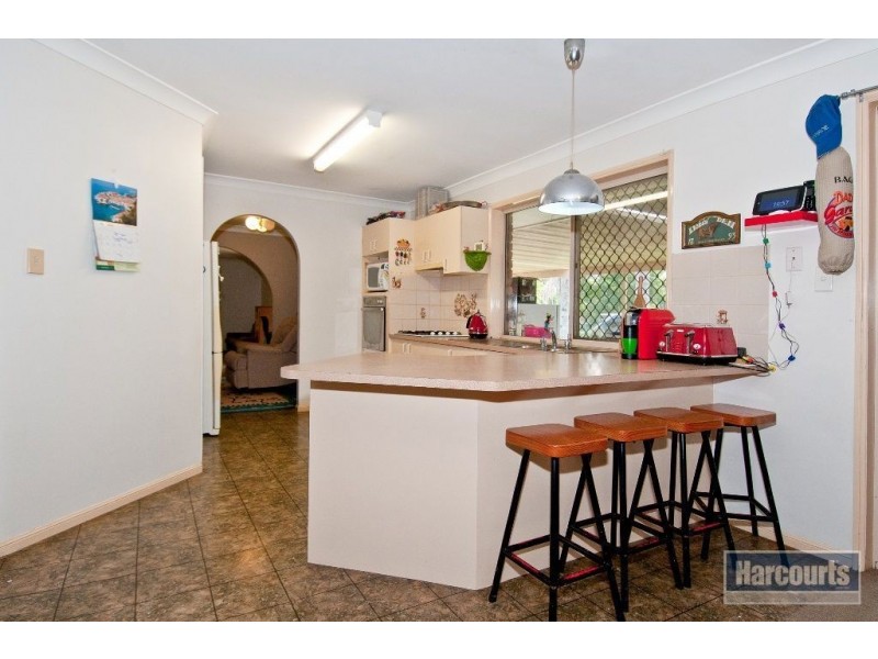 273 Cedar Grove Road, Cedar Grove QLD 4285