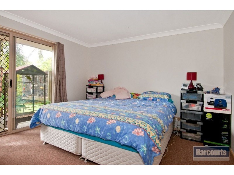 273 Cedar Grove Road, Cedar Grove QLD 4285