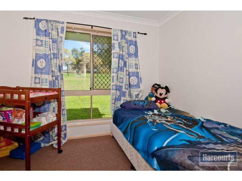 273 Cedar Grove Road, Cedar Grove QLD 4285