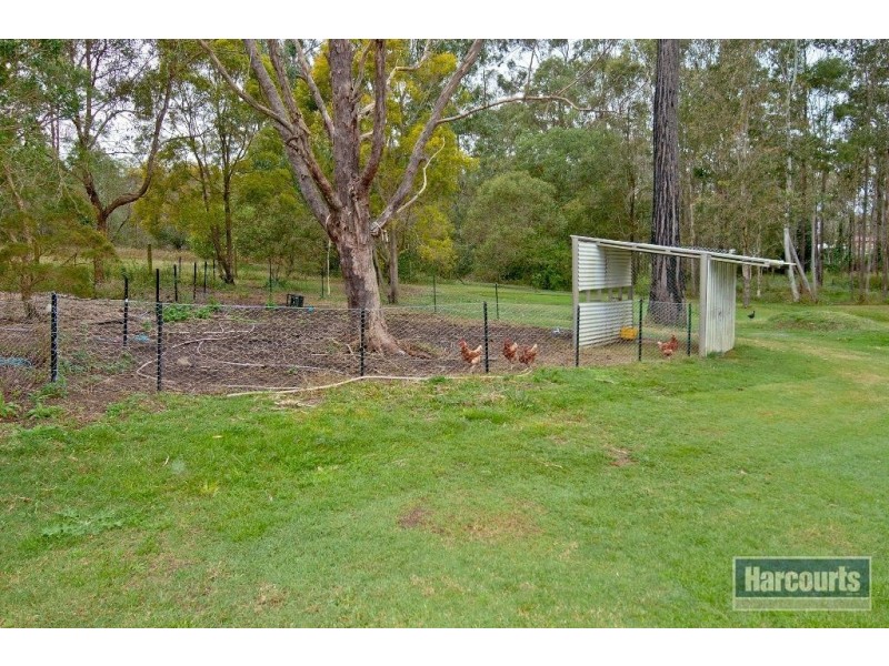 51 Pastoral Court, Jimboomba QLD 4280