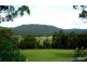 58 Armstrong Road, Biddaddaba QLD 4275